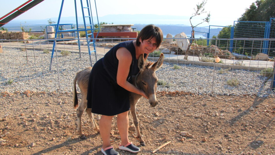 Prve primorsko-dinarske magarce nabavili radi djece, a sada razvijaju pravi mali biznis