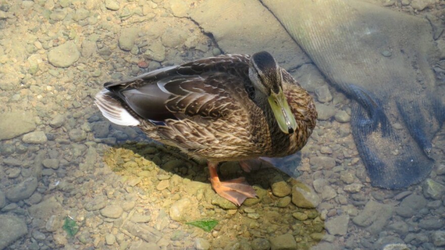 Red kiše, red sunca - šta nam najavljuju meteorolozi?
