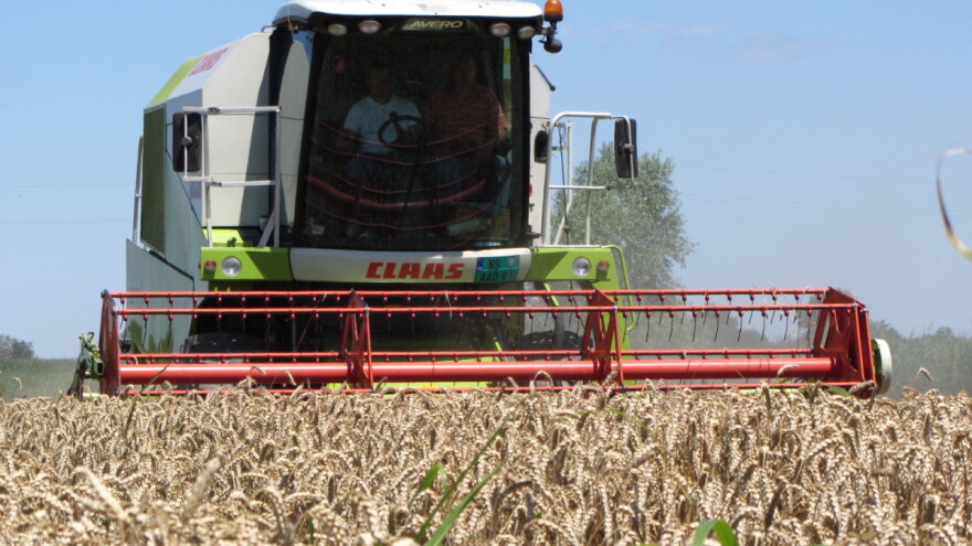 Suša u EU  "gura" cenu pšenice