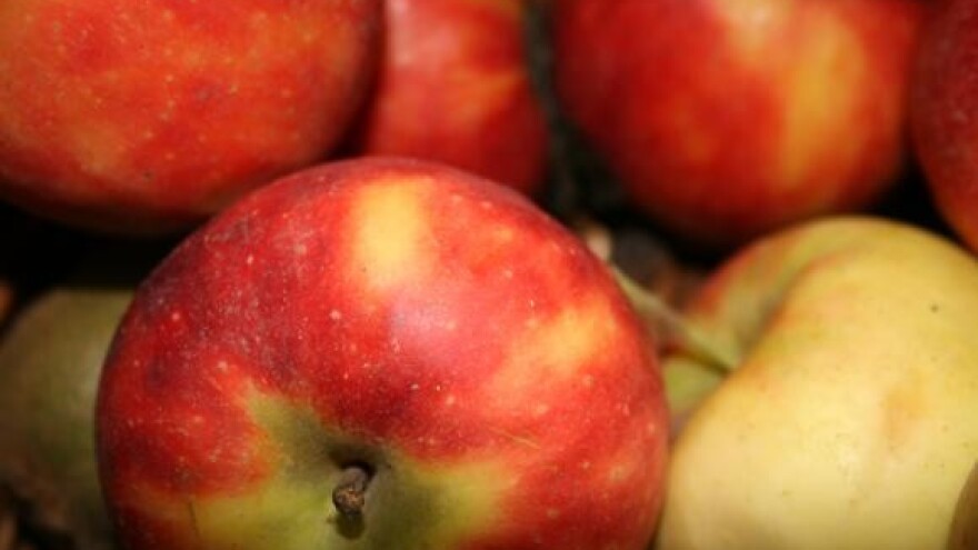 Naknade otkupljivačima jabuka