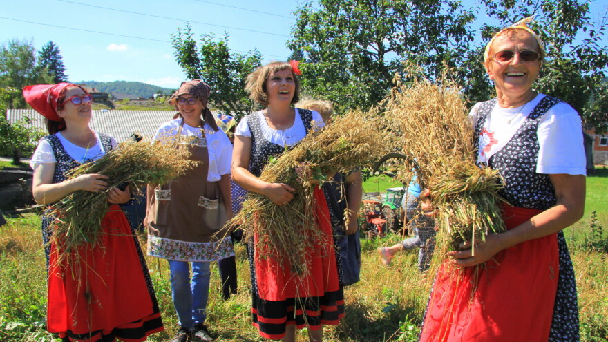 Žetva zobi na tradicijski način – doživljaj povijesti iz prve ruke