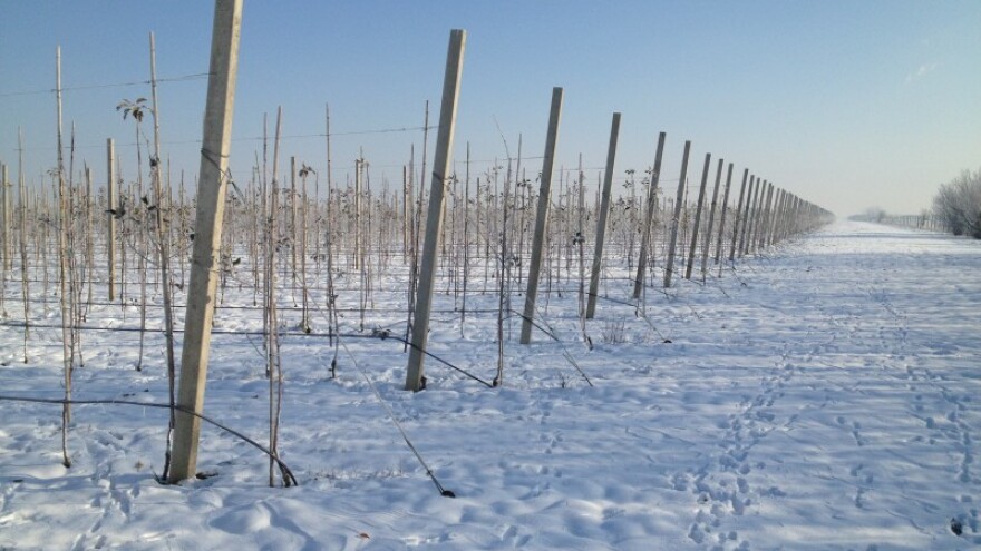 Čekaju nas neravnomjerne padaline