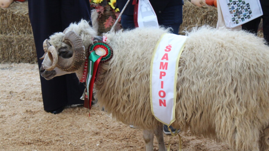 Tko su šampioni 29. Državne stočarske izložbe u Gudovcu?