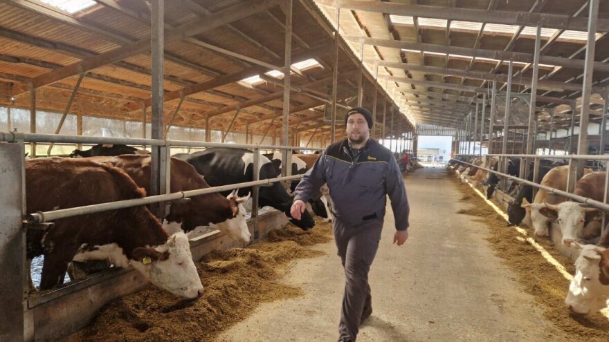 Mlijeko na korak do septičke jame: Kod Čede u januaru 20.000 litara viška