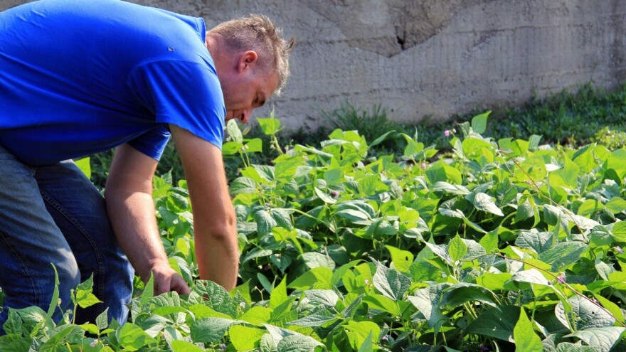 Dean Krpan: Mali proizvođači su vrlo važni jer zajedno činimo nešto veliko