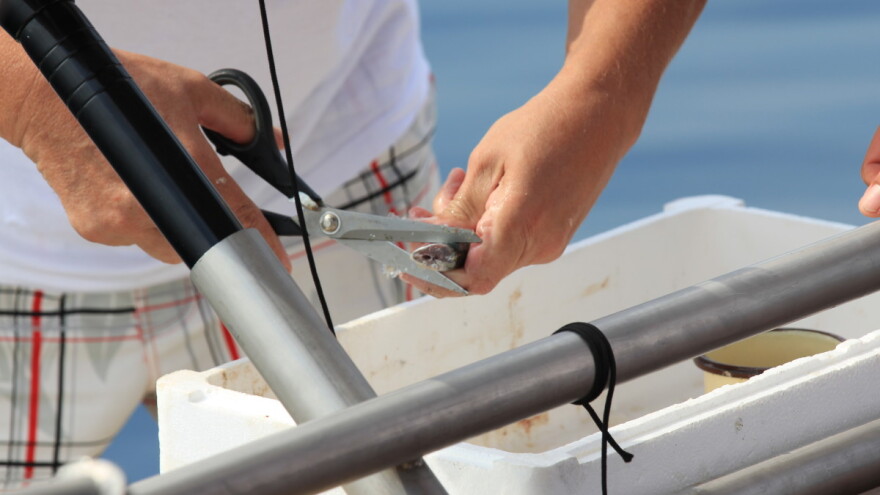Paket EU mjera pomoći u sektoru ribarstva i akvakulture stupio na snagu