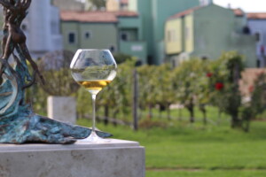 Vinograd u laguni: Turizam je odlična prilika da sačuvamo tradiciju proizvodnje