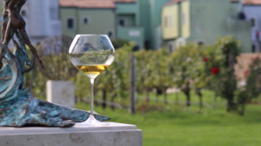 Vinograd u laguni: Turizam je odlična prilika da sačuvamo tradiciju proizvodnje