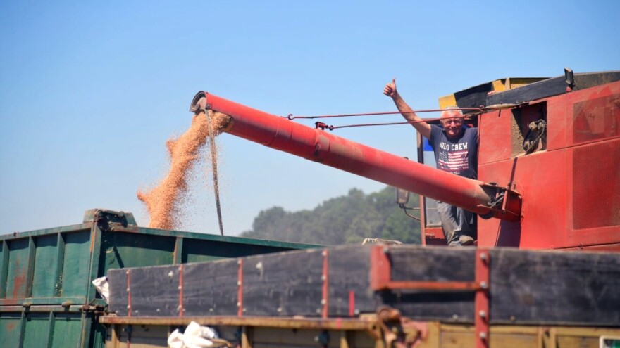 Žetva pri kraju, cijena pšenice glavna briga: "Ispod 0,40 KM smo u minusu"