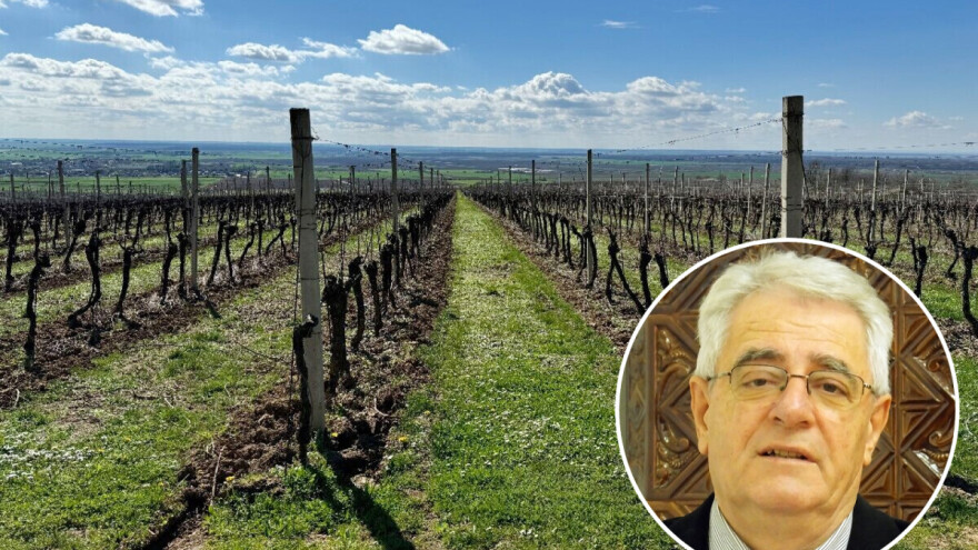 Neuobičajeno za ovo doba godine je da će se uskoro neke kulture već navodnjavati