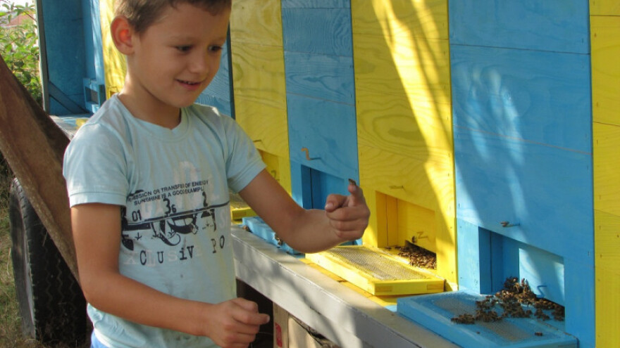 Neven Škorić i Damjan Gagić najmlađi pčelari u Evropi