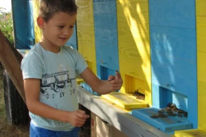 Neven i Damjan najmlađi pčelari u Europi