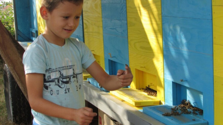 Neven i Damjan najmlađi pčelari u Europi