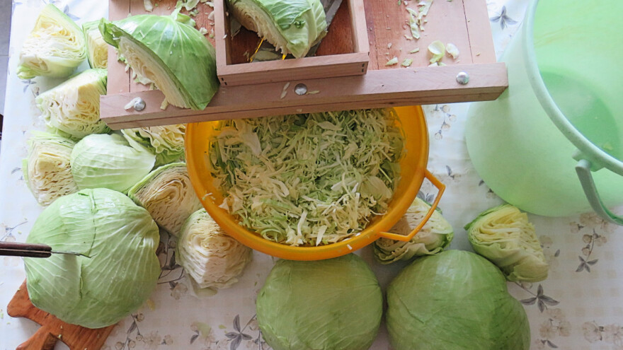 Kako da kiselite kupus ribanac?