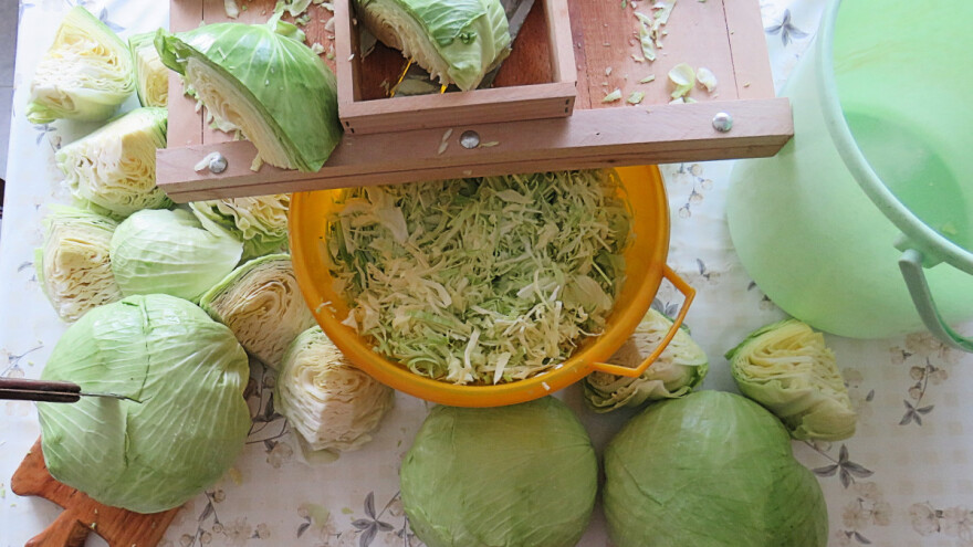 Kako kiseliti kupus ribanac?