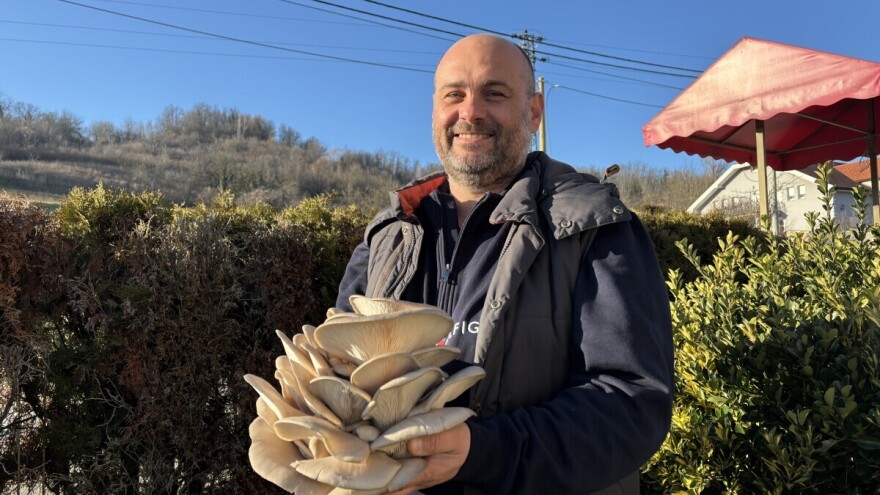 Tihomir Tucman: Najteže je ljude osvijestiti koliko su gljive zdrave