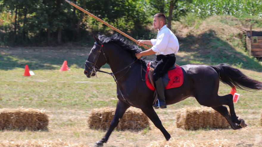 Velika je ljubav Slavonaca prema konjima, dokazuje to i 13. Šokačka alka