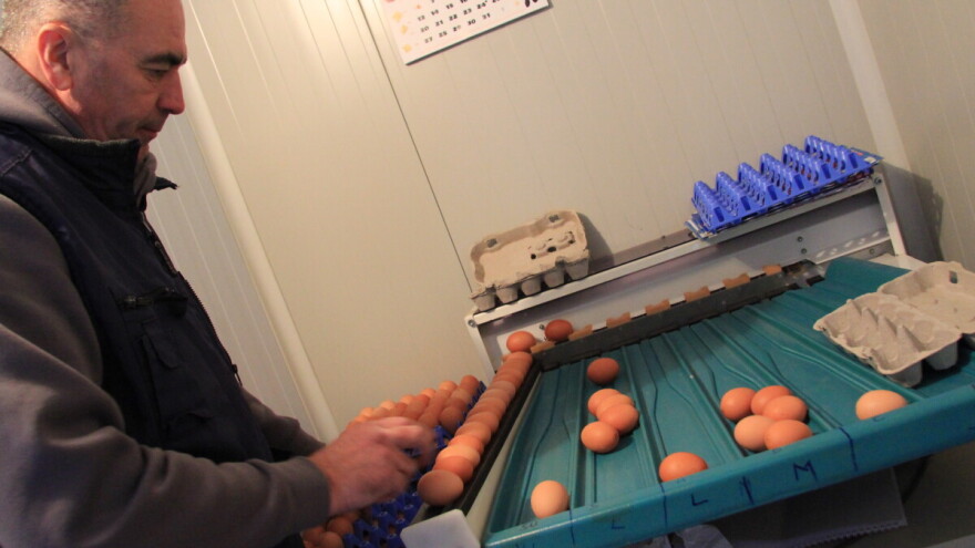 Izgradili moderan peradarnik, od jaja rade vrhunsku tjesteninu, na redu je - agroturizam