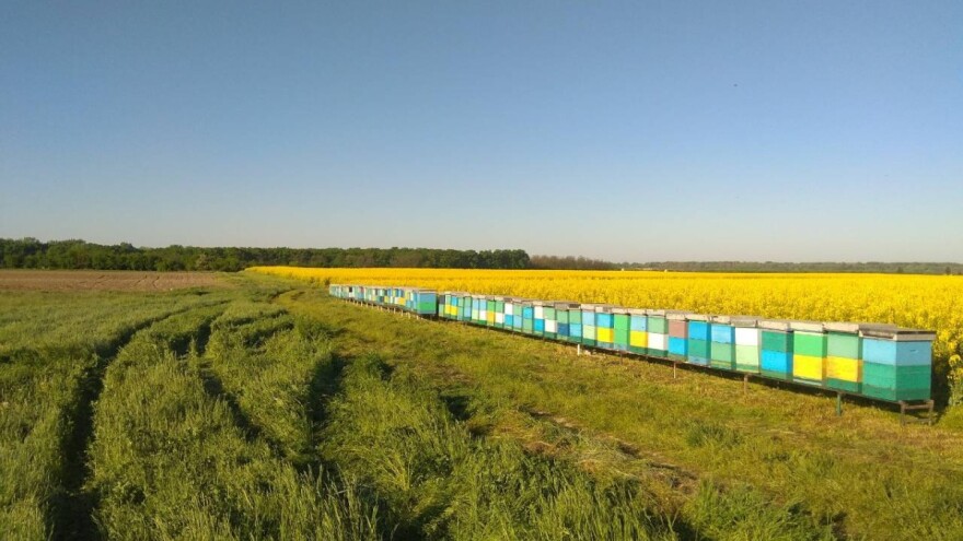 Preko granice do pčelinjaka?