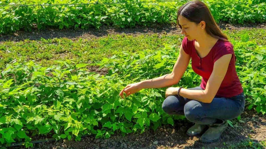 Studentkinja koja ima svoju baštu, sakuplja lekovito bilje i gljive - pravi i sapune