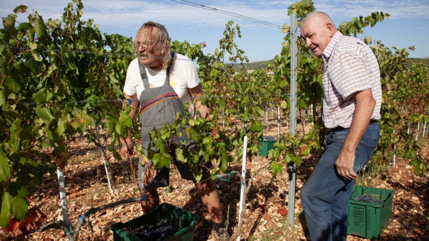 Kako Vinsku omotnicu spasiti od neiskorištenosti?
