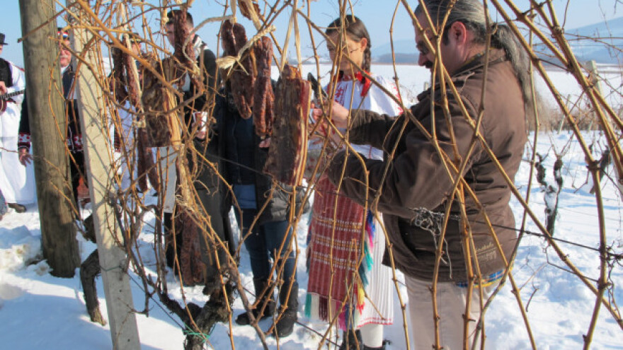 Blagdan vinara postaje turistička atrakcija
