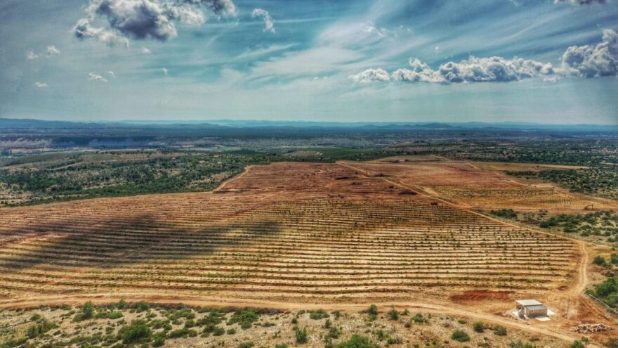Poljoprivredni potencijal dalmatinskog krša