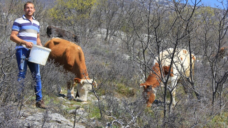 Filip Petrović (24): Ako ste prvih godina na pozitivnoj nuli - budite sretni