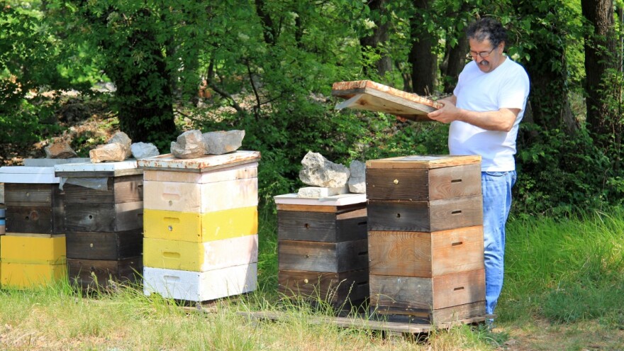 Silvio Bertone: Najgore je kada se samo računa dobit, a ne razmišlja o problemima