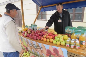 Tko je kriv za propadanje domaće proizvodnje jabuka?