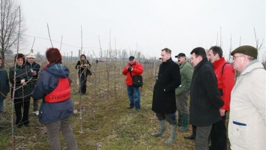 Klaster Slavonska jabuka - radionica
