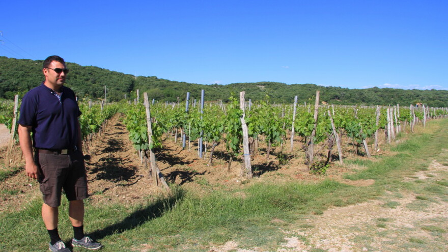 Anton Katunar: Vraćamo se starom tipu vina, sadimo na škrtoj zemlji za bolju sirovinu