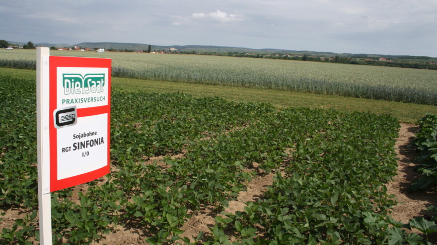 RWA predstavio rezultate robusne sorte RGT SINFONIA, prinosi soje do 4,8 t/ha