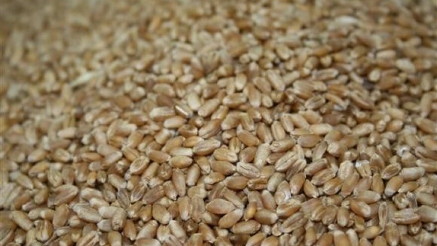 Najgora proljetna sjetva!?