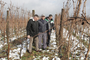 Laktaši će se brzo naći na mapi najboljih vinogorja