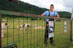 Kombinacija električnih mreža i tornjaka izvrsna zaštita od velikih zvijeri