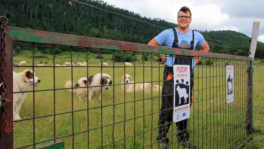 Kombinacija električnih mreža i tornjaka izvrsna zaštita od velikih zvijeri