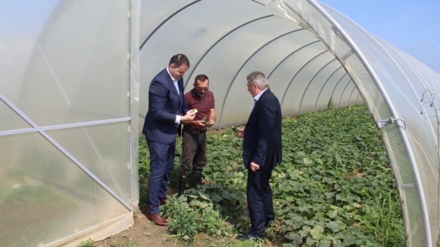 Dijele sjemena za ponovljenu sjetvu