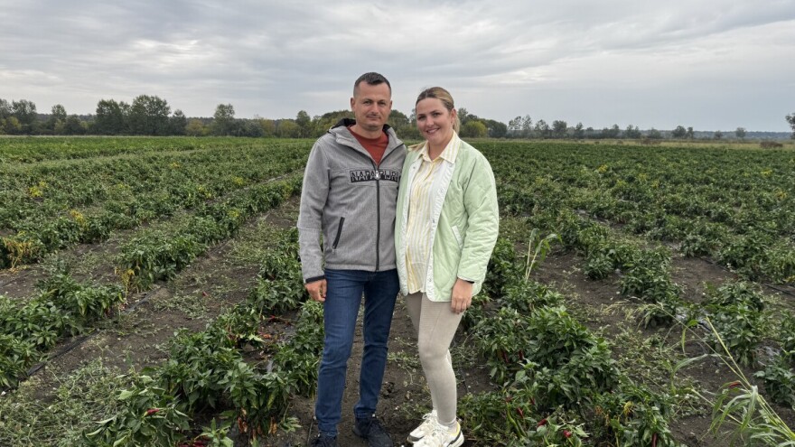 Obitelj Marić uzgaja vrhunsku eko začinsku papriku i buče: Stalno učimo kako biti bolji