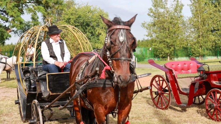 Feljtonima vratiti ljubav prema plemenitim životinjama?