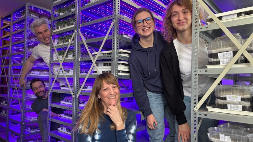 Kliconoša: Mala tvornica mikropovrća u oblacima