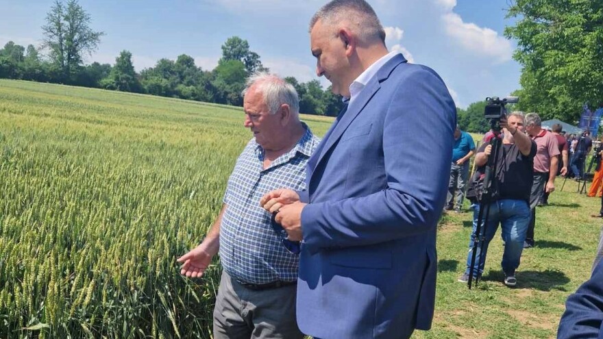 Kod Đure u polju 37 sorti pšenice, očekuje visoke prinose i ministar zadovoljan