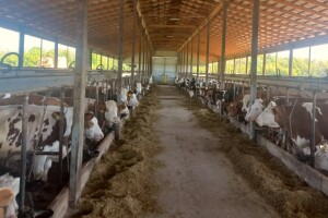 Od šupe do velike farme: "Godišnja ulaganja su oko 500 hiljada KM"