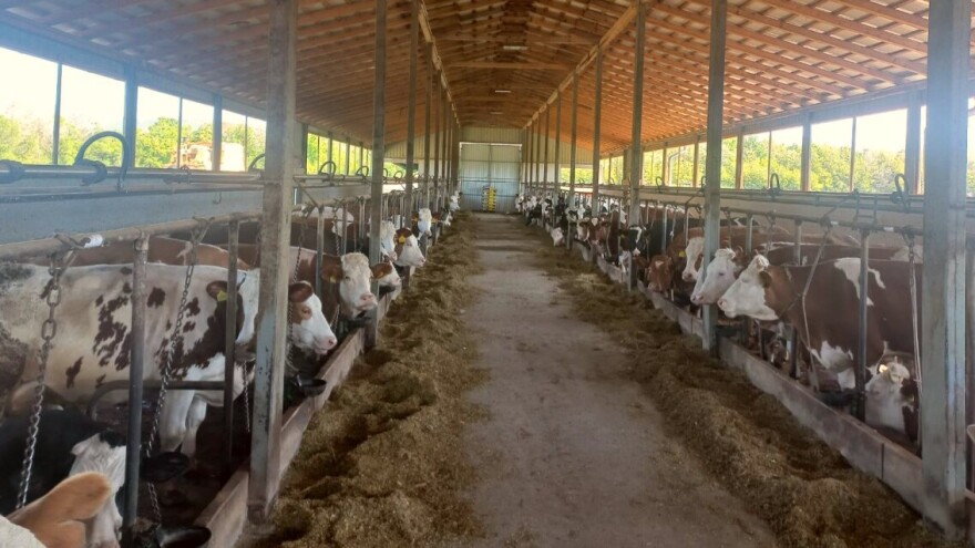 Od šupe do velike farme: "Godišnja ulaganja su oko 500 hiljada KM"