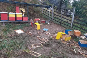 Tuga u Namirovom pčelinjaku: Medvjed razbacao 16 košnica