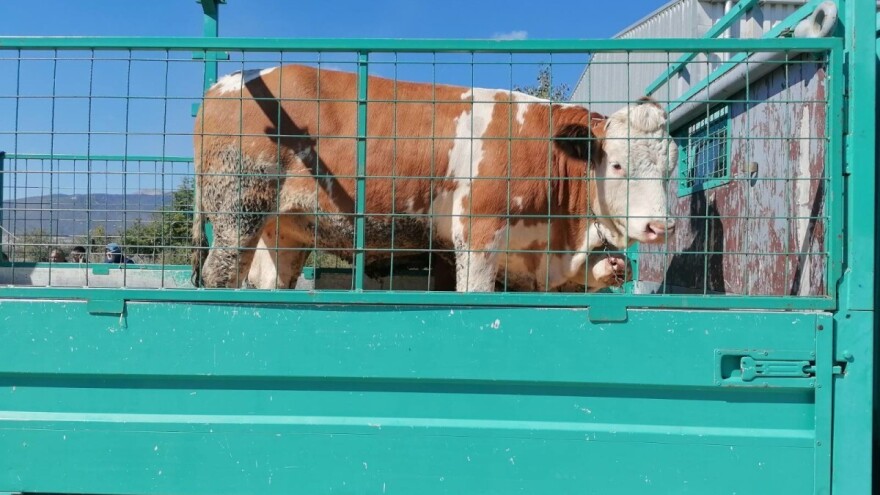 Uplaćeni poticaji za više od hiljadu korisnika, na račune otišlo 2,8 miliona KM