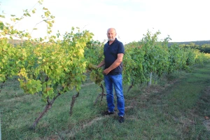 Miroslav Palinkaš krenuo je od nule, danas proizvodi vrhunsku žlahtinu i pjenušce