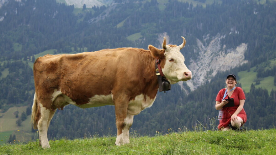Broj poljoprivrednika u Švajcarskoj smanjuje se i uprkos izdašnim podsticajima