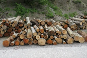 Manja proizvodnja i prodaja šumskog sortimenta