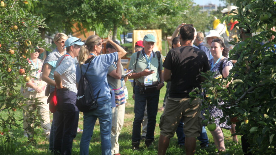 Želite izaći iz ekološke proizvodnje, a korisnik ste operacije 6.3.1. – evo na što morate paziti